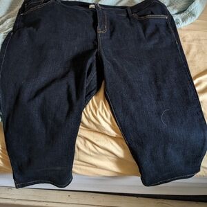 Lane Bryant Petalpushers